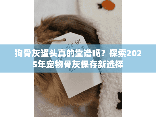 狗骨灰罐头真的靠谱吗？探索2025年宠物骨灰保存新选择