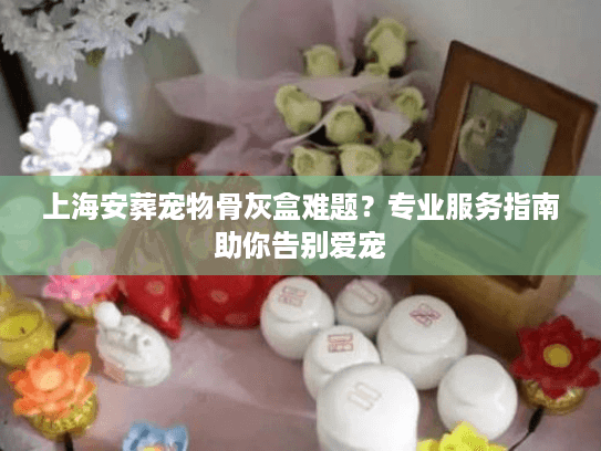 上海安葬宠物骨灰盒难题？专业服务指南助你告别爱宠
