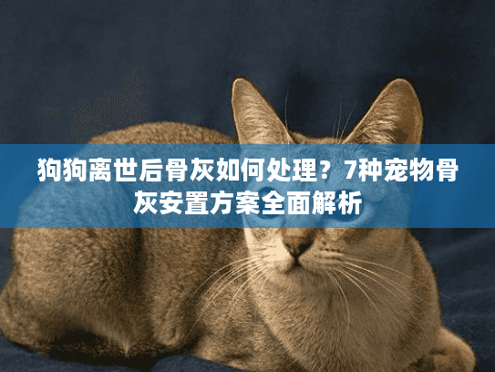 狗狗离世后骨灰如何处理？7种宠物骨灰安置方案全面解析