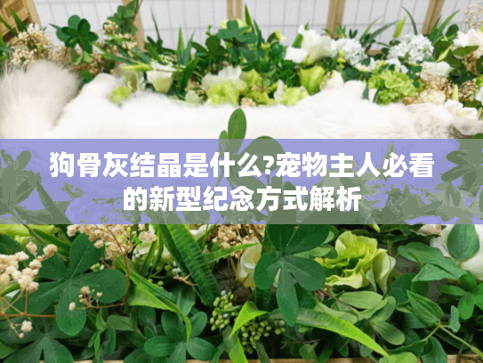 狗骨灰结晶是什么?宠物主人必看的新型纪念方式解析 狗骨灰结晶是什么?宠物主人必看的新型纪念方式解析
