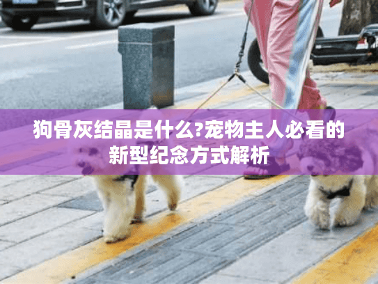 狗骨灰结晶是什么?宠物主人必看的新型纪念方式解析 狗骨灰结晶是什么?宠物主人必看的新型纪念方式解析