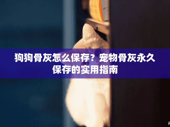 狗狗骨灰怎么保存?宠物骨灰永久保存的实用指南 狗狗骨灰怎么保存?宠物骨灰永久保存的实用指南