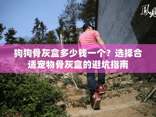 狗狗骨灰盒多少钱一个？选择合适宠物骨灰盒的避坑指南