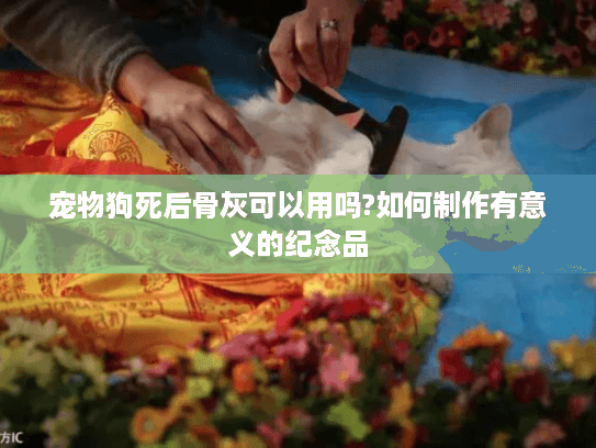 宠物狗死后骨灰可以用吗?如何制作有意义的纪念品