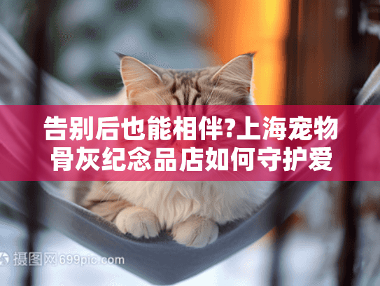 告别后也能相伴?上海宠物骨灰纪念品店如何守护爱的记忆