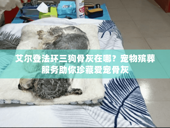 艾尔登法环三狗骨灰在哪？宠物殡葬服务助你珍藏爱宠骨灰