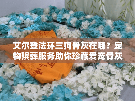 艾尔登法环三狗骨灰在哪？宠物殡葬服务助你珍藏爱宠骨灰