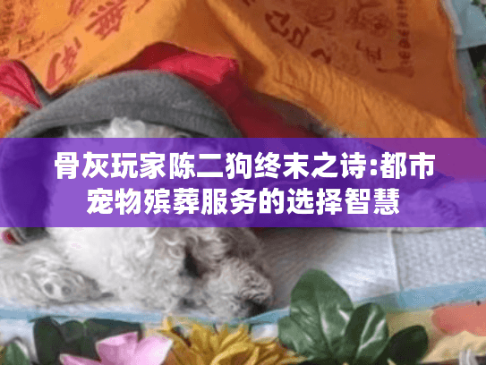 骨灰玩家陈二狗终末之诗:都市宠物殡葬服务的选择智慧