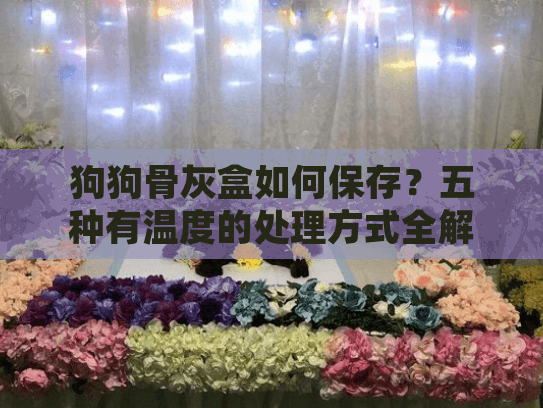 狗狗骨灰盒如何保存？五种有温度的处理方式全解析