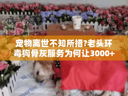 宠物离世不知所措?老头环毒狗骨灰服务为何让3000+家庭找到慰藉