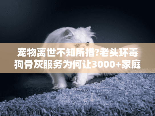 宠物离世不知所措?老头环毒狗骨灰服务为何让3000+家庭找到慰藉