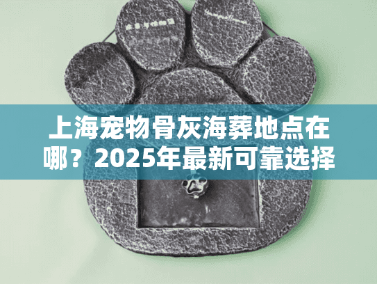 上海宠物骨灰海葬地点在哪？2025年最新可靠选择与贴心指南