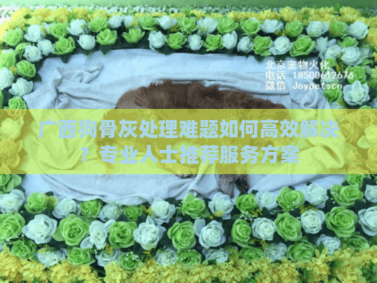 广西狗骨灰处理难题如何高效解决？专业人士推荐服务方案