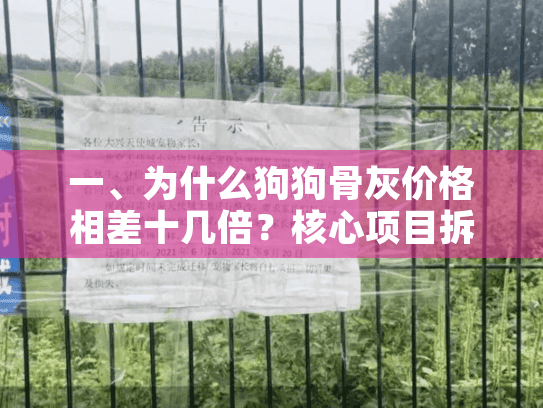 一、为什么狗狗骨灰价格相差十几倍？核心项目拆解