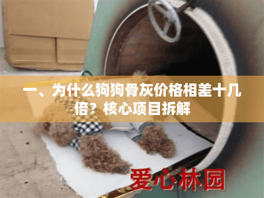 一、为什么狗狗骨灰价格相差十几倍？核心项目拆解