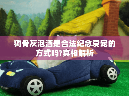 狗骨灰泡酒是合法纪念爱宠的方式吗?真相解析