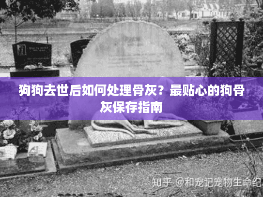 狗狗去世后如何处理骨灰？最贴心的狗骨灰保存指南