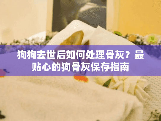 狗狗去世后如何处理骨灰？最贴心的狗骨灰保存指南