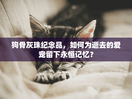 狗骨灰珠纪念品，如何为逝去的爱宠留下永恒记忆？