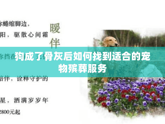 狗成了骨灰后如何找到适合的宠物殡葬服务