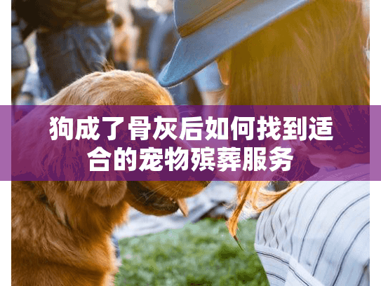 狗成了骨灰后如何找到适合的宠物殡葬服务