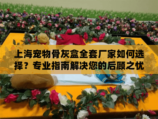 上海宠物骨灰盒全套厂家如何选择？专业指南解决您的后顾之忧