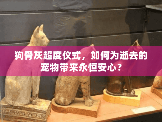 狗骨灰超度仪式，如何为逝去的宠物带来永恒安心？