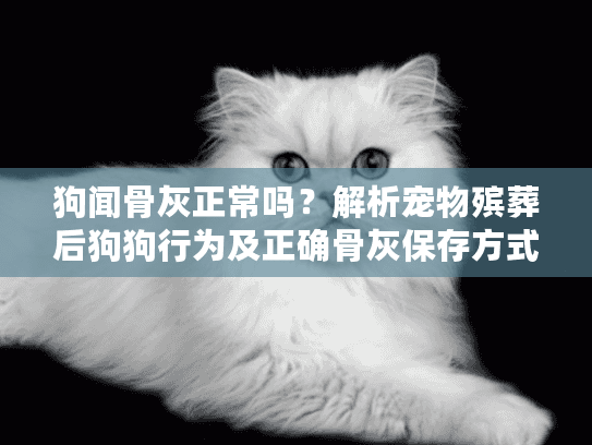 狗闻骨灰正常吗？解析宠物殡葬后狗狗行为及正确骨灰保存方式
