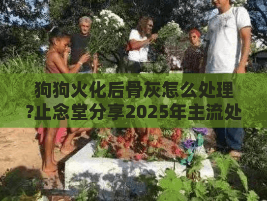 狗狗火化后骨灰怎么处理?止念堂分享2025年主流处理方案