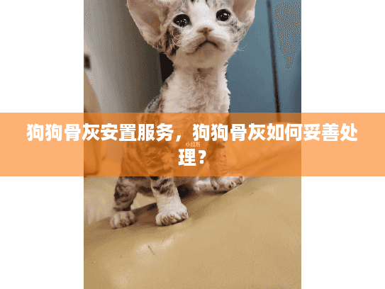 狗狗骨灰安置服务，狗狗骨灰如何妥善处理？