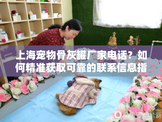 上海宠物骨灰罐厂家电话？如何精准获取可靠的联系信息指南