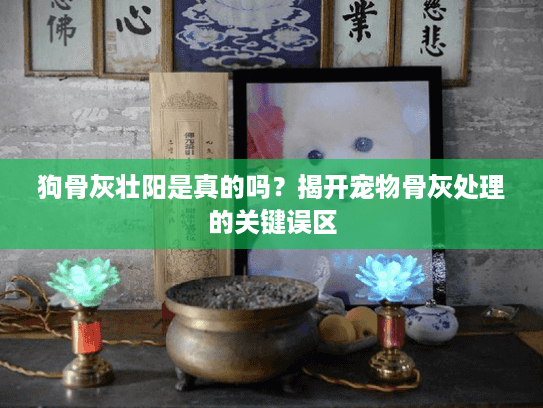 狗骨灰壮阳是真的吗？揭开宠物骨灰处理的关键误区