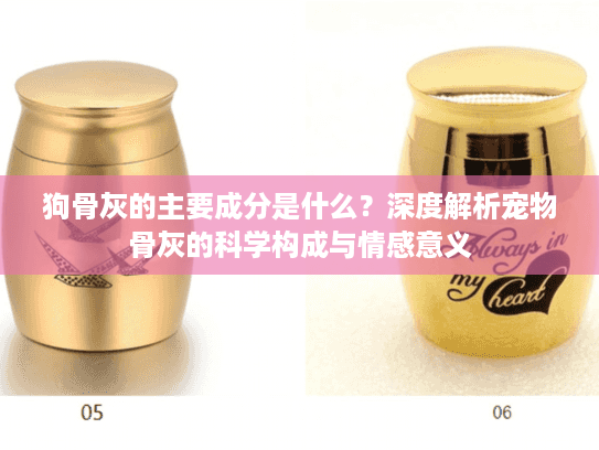狗骨灰的主要成分是什么？深度解析宠物骨灰的科学构成与情感意义