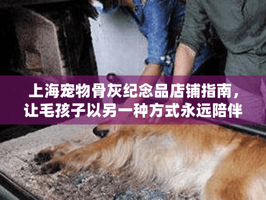 上海宠物骨灰纪念品店铺指南，让毛孩子以另一种方式永远陪伴你