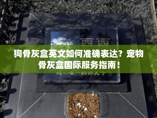狗骨灰盒英文如何准确表达？宠物骨灰盒国际服务指南！