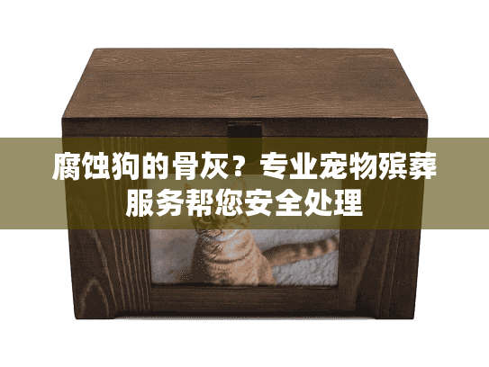 腐蚀狗的骨灰?专业宠物殡葬服务帮您安全处理 腐蚀狗的骨灰?专业宠物殡葬服务帮您安全处理