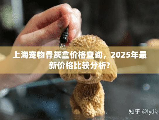 上海宠物骨灰盒价格查询，2025年最新价格比较分析?