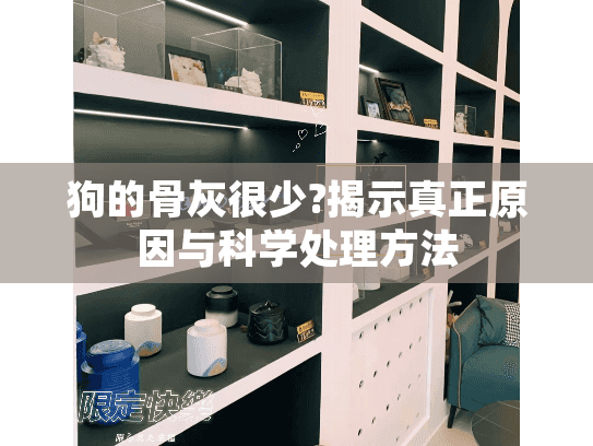 狗的骨灰很少?揭示真正原因与科学处理方法