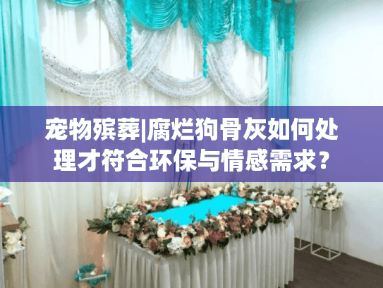 宠物殡葬|腐烂狗骨灰如何处理才符合环保与情感需求？