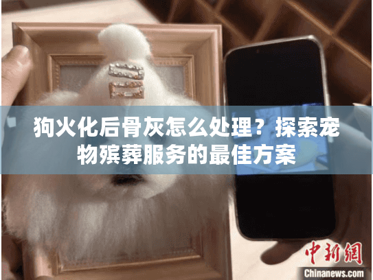 狗火化后骨灰怎么处理？探索宠物殡葬服务的最佳方案