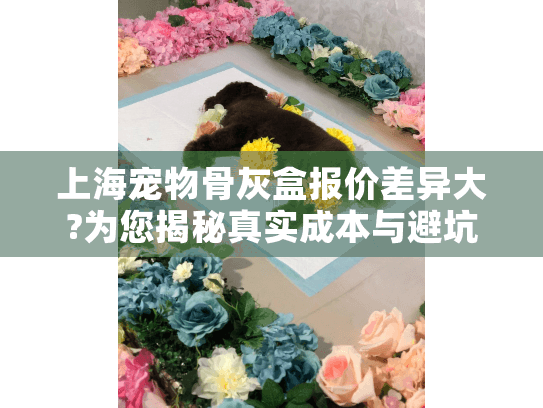 上海宠物骨灰盒报价差异大?为您揭秘真实成本与避坑选择