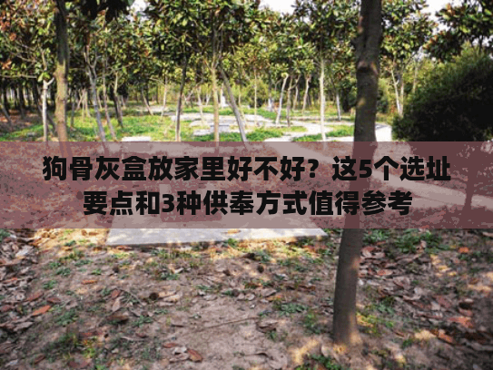 狗骨灰盒放家里好不好？这5个选址要点和3种供奉方式值得参考