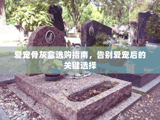 爱宠骨灰盒选购指南，告别爱宠后的关键选择