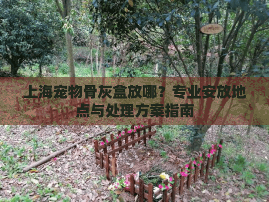 上海宠物骨灰盒放哪？专业安放地点与处理方案指南