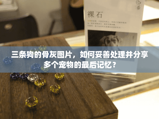 三条狗的骨灰图片，如何妥善处理并分享多个宠物的最后记忆？