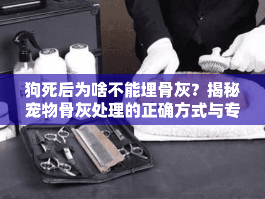 狗死后为啥不能埋骨灰？揭秘宠物骨灰处理的正确方式与专业殡葬服务