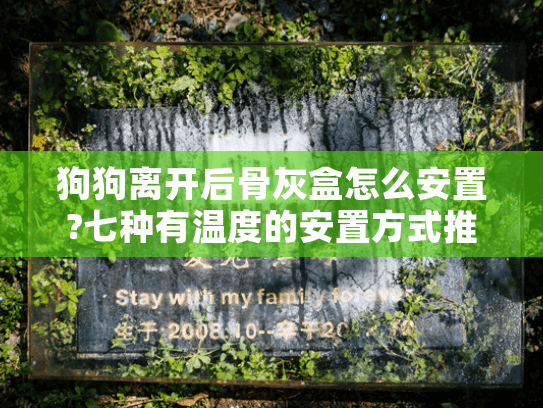 狗狗离开后骨灰盒怎么安置?七种有温度的安置方式推荐