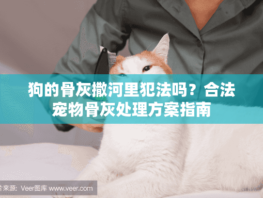 狗的骨灰撒河里犯法吗？合法宠物骨灰处理方案指南
