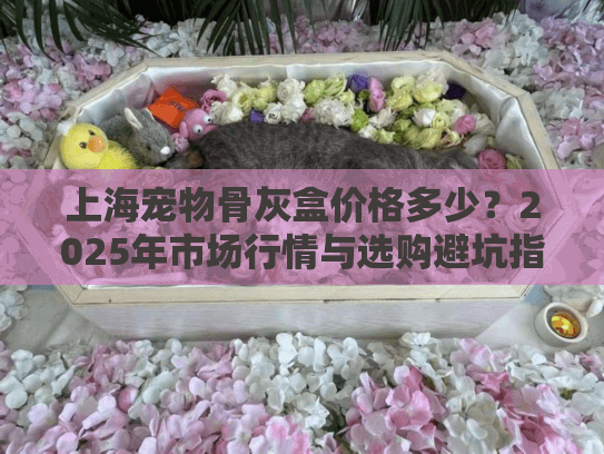 上海宠物骨灰盒价格多少？2025年市场行情与选购避坑指南