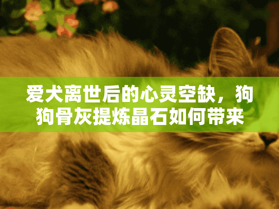 爱犬离世后的心灵空缺，狗狗骨灰提炼晶石如何带来永恒慰藉